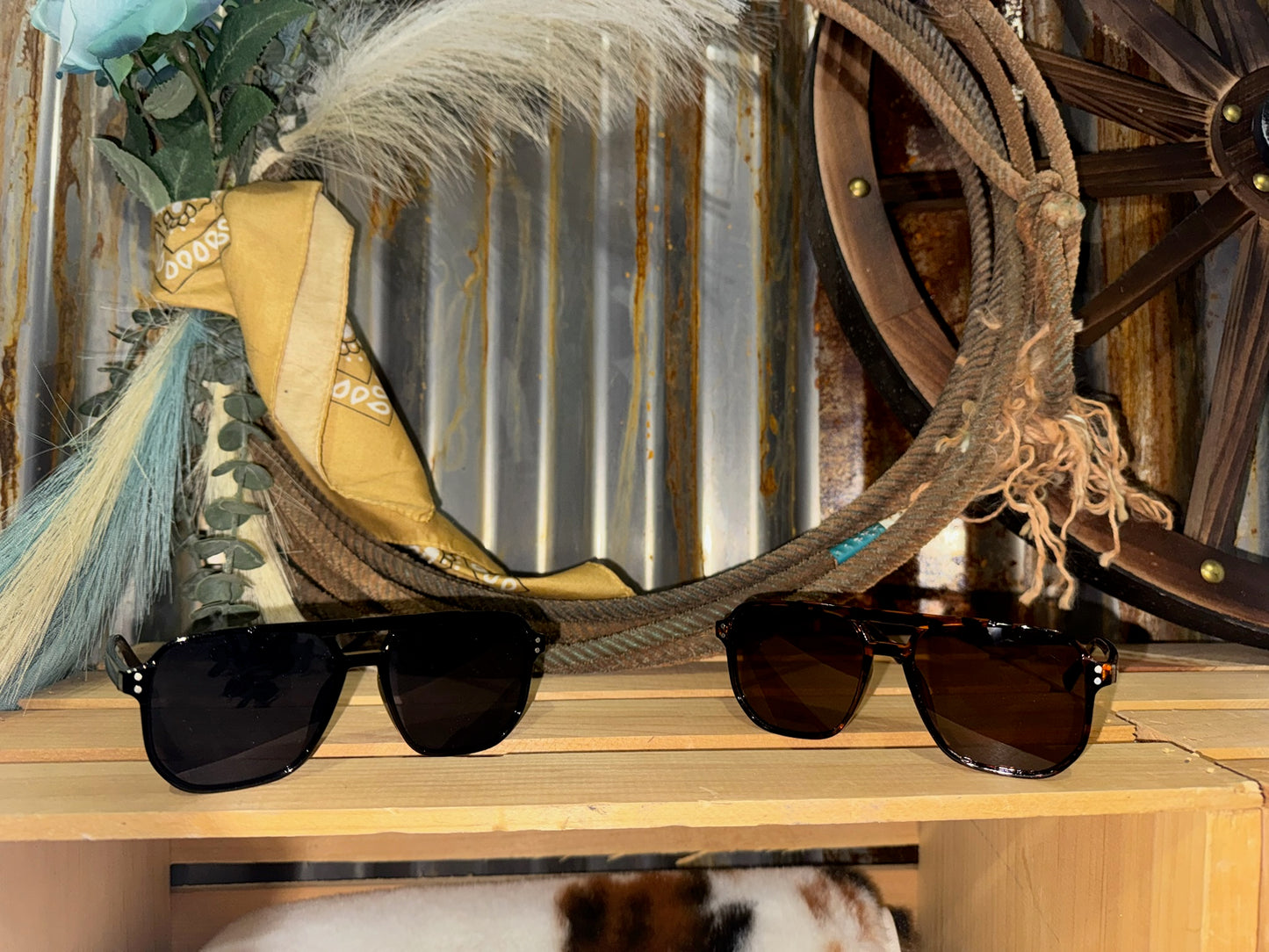 🕶️ Western Style Sunglasses