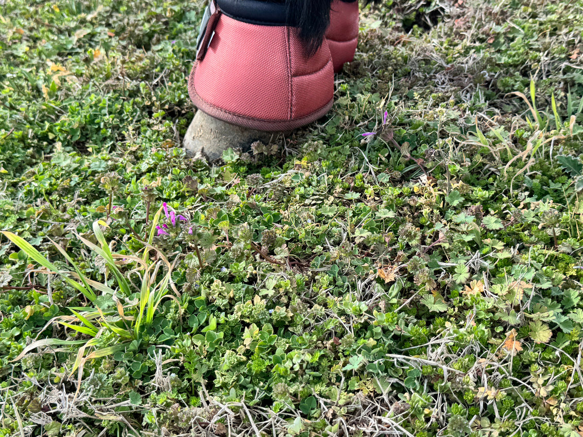 Copper Bell Boot