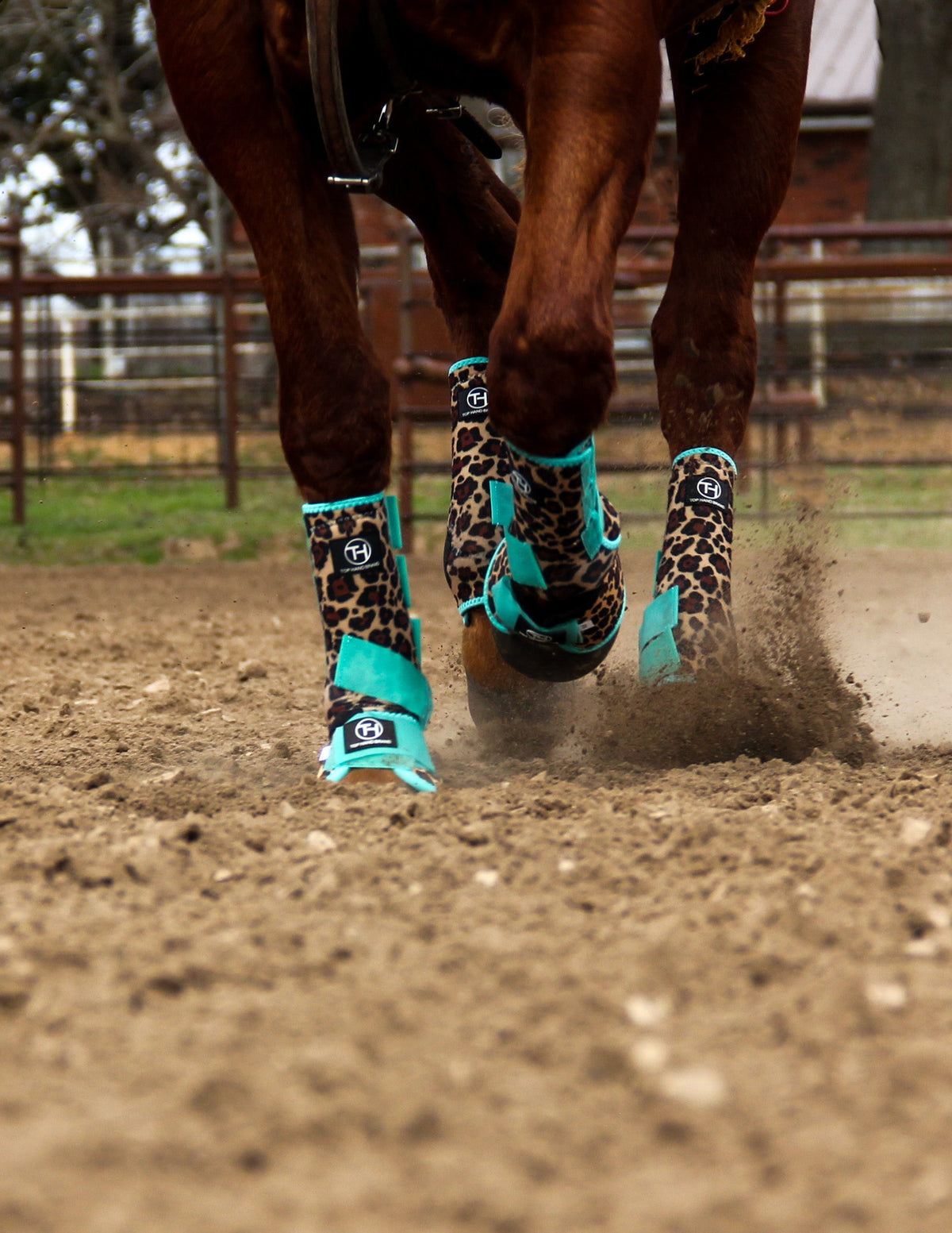 Cheetah Mint Sport Boots